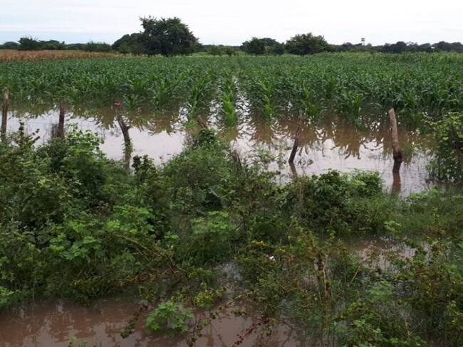 Gobernación realiza censo de campesinos afectados por las lluvias
