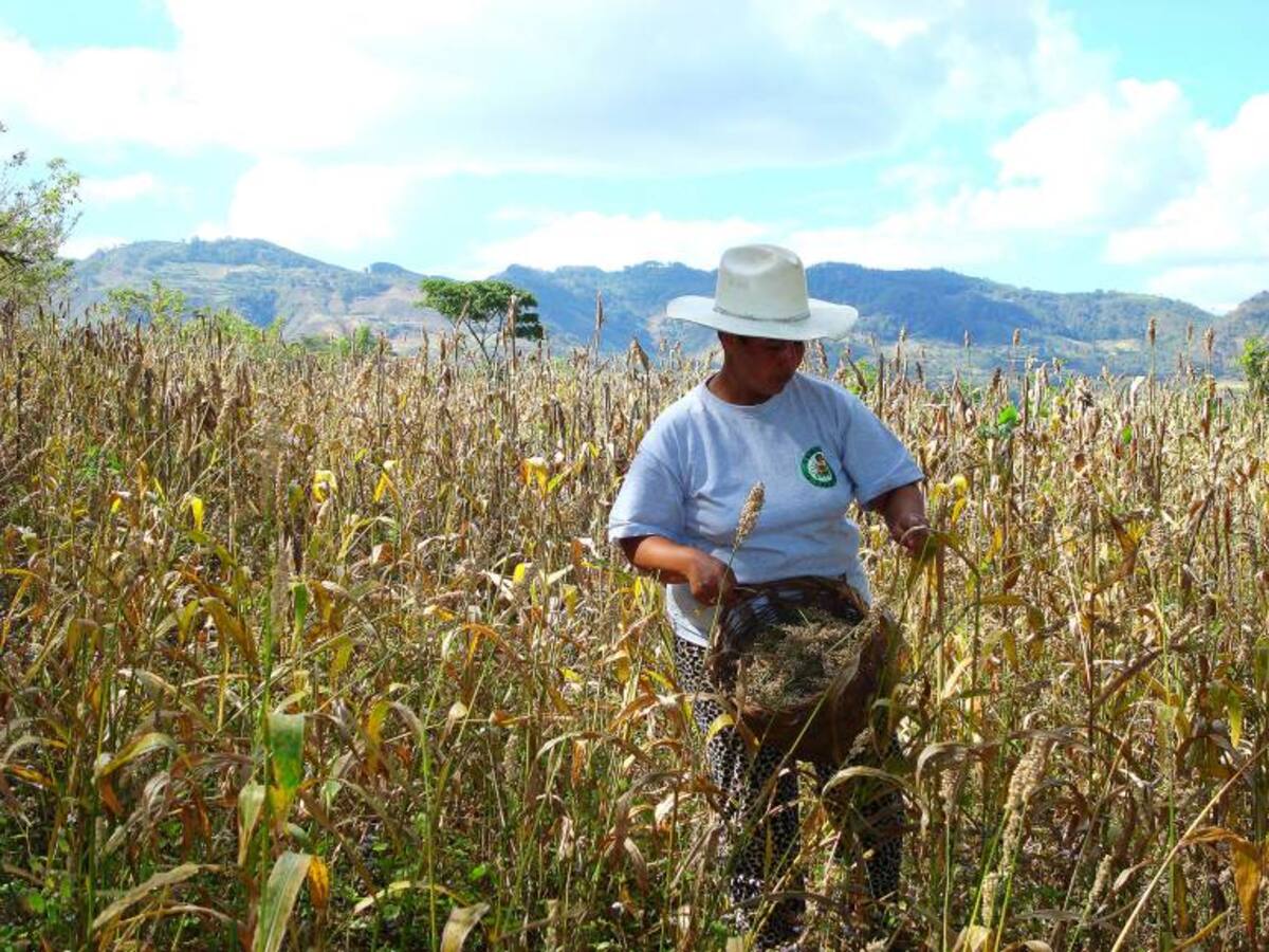 Mujeres rurales, un homenaje en su día