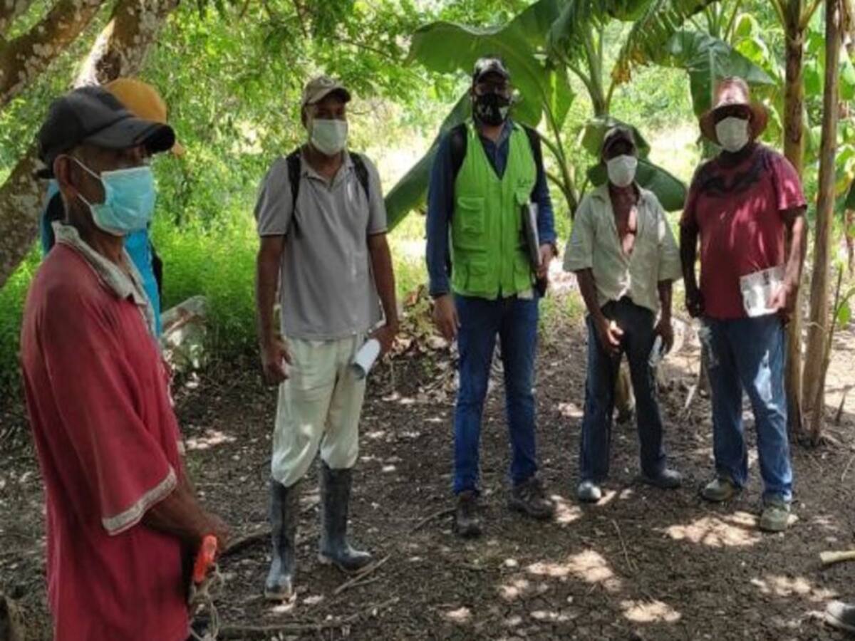En Bolívar productores se capacitan en prevención y manejo de enfermedades