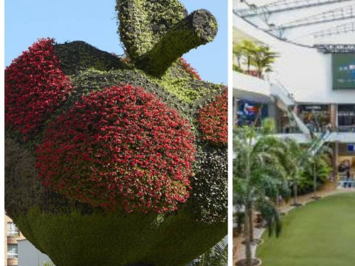 "Esperamos poder abrir a partir del 26 de mayo": centros comerciales