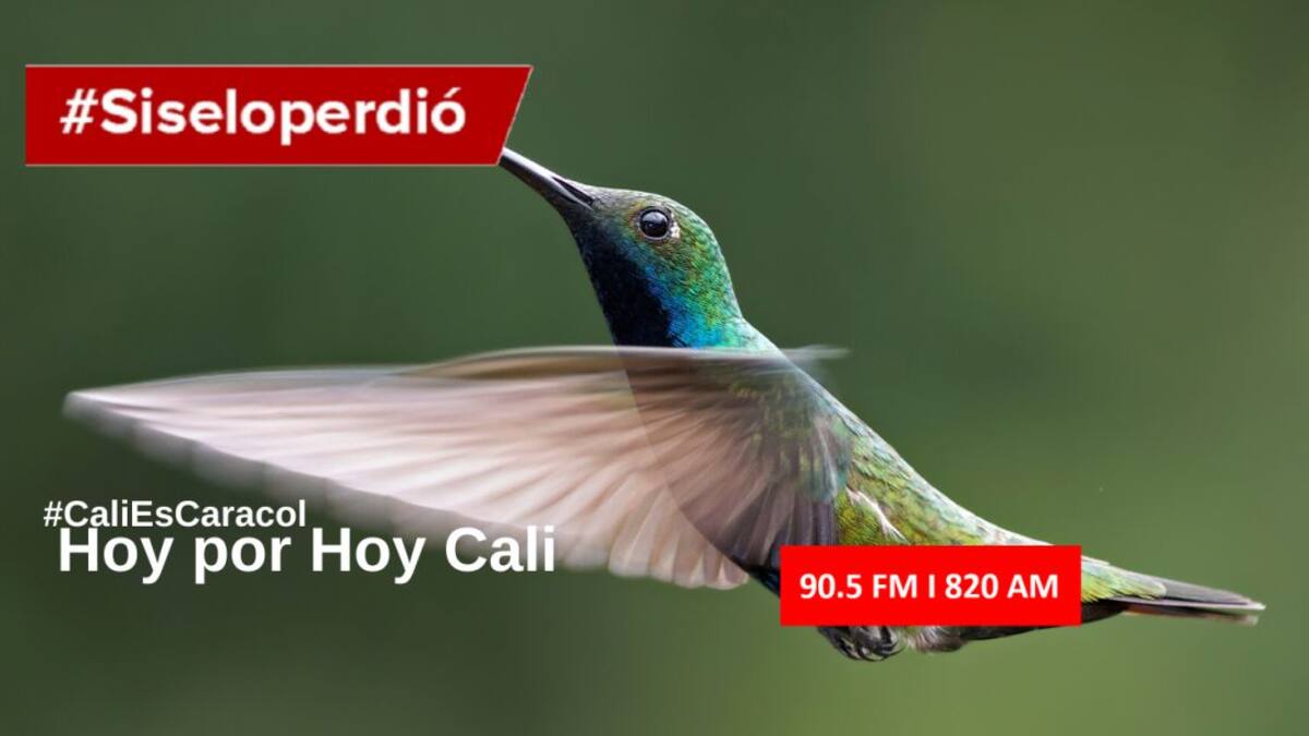 Cali Hoy por Hoy 11 de febrero del 2020