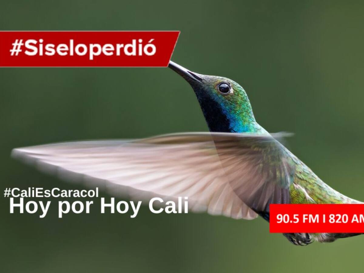 Cali Hoy por Hoy 11 de febrero del 2020