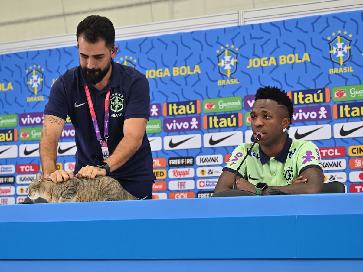 Demandan a Brasil por integrante que arrojó un gato en plena conferencia de prensa