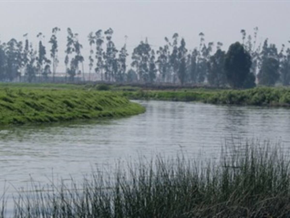 Niña encontrada en el Río Bogotá fue asesinada violentamente