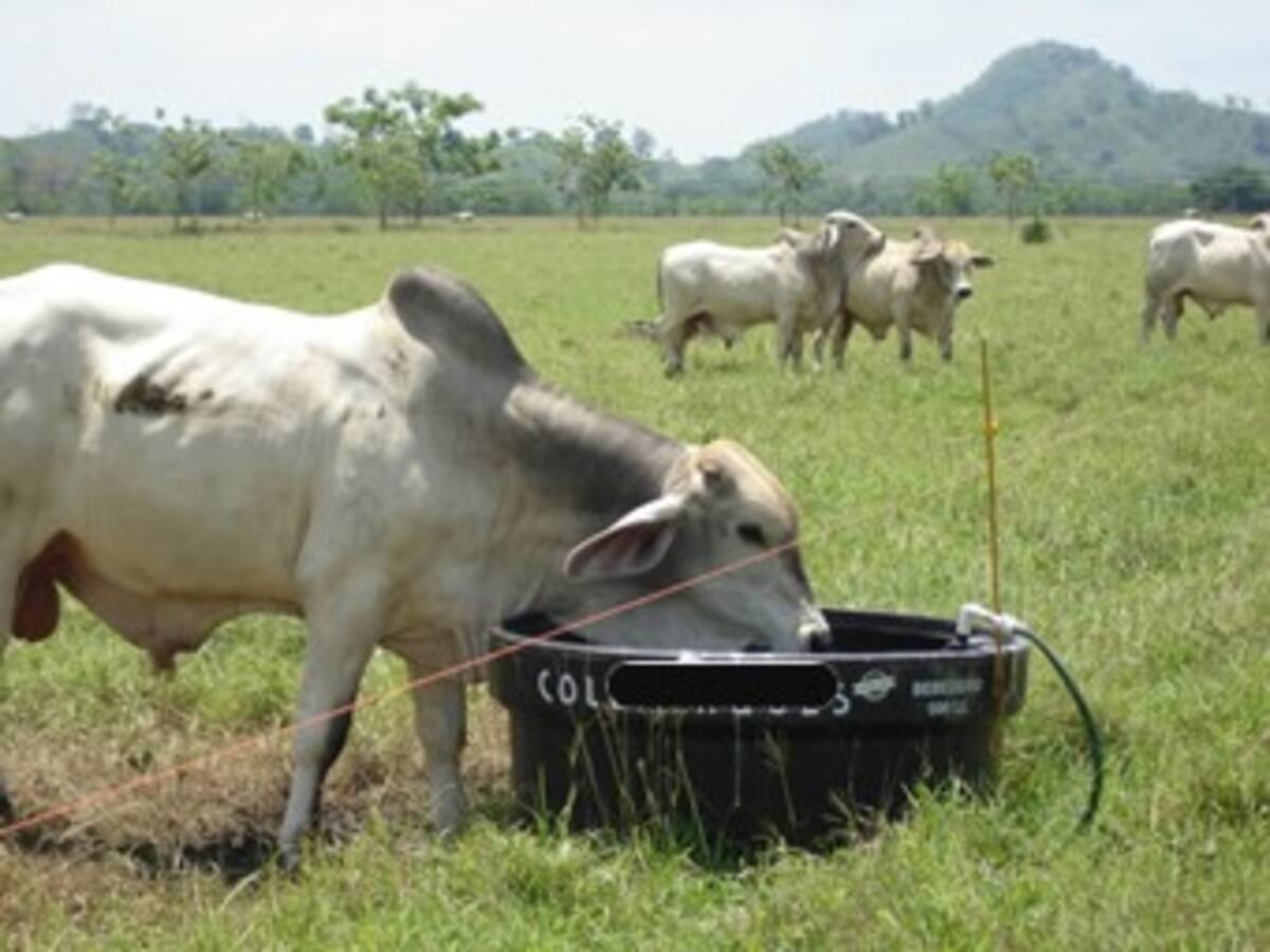 Funcionaria del ICA vende nombres de ganaderos para contrabando con reses de Venezuela