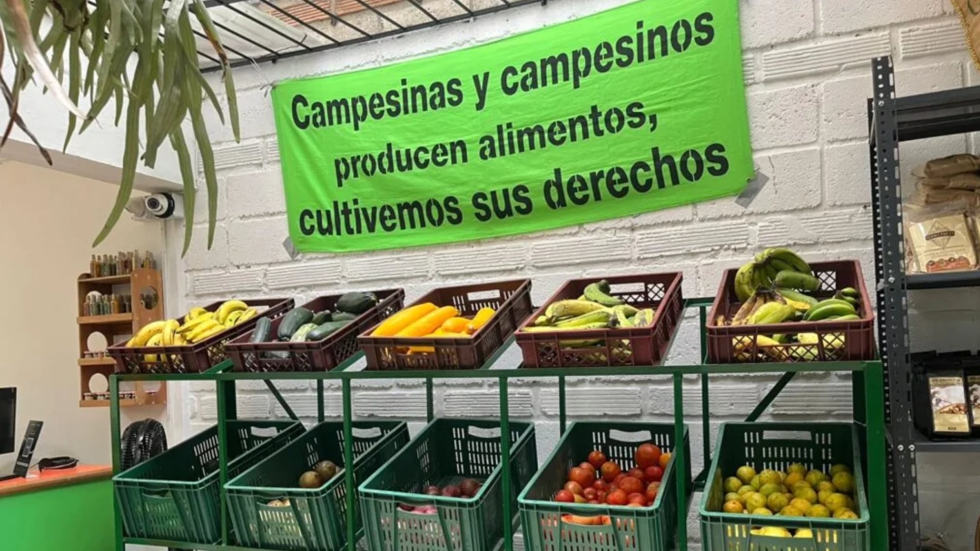 La tienda Col y Flor sirve de vitrina a 90 productoras/es y 44 Mujeres Campesinas agroecológicas de Medellín, Barbosa, Ebéjico y Oriente antioqueño. | Foto: Col y Flor, tienda de comercio justo