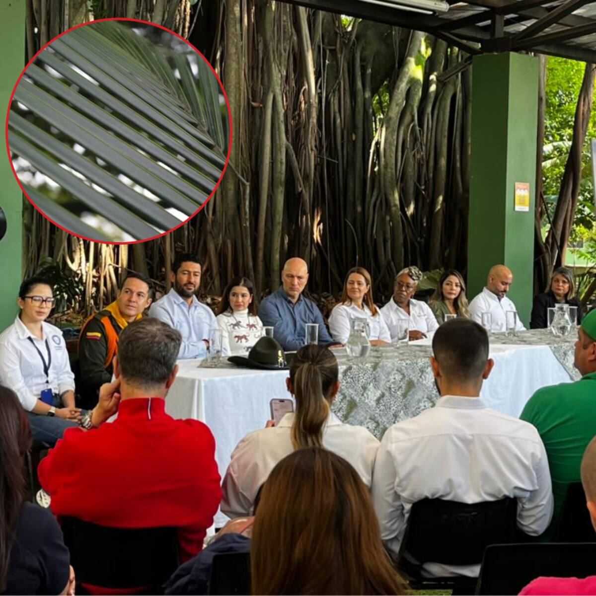 Recuerde que comercializar palma de cera y traficar fauna silvestre es delito en Antioquia