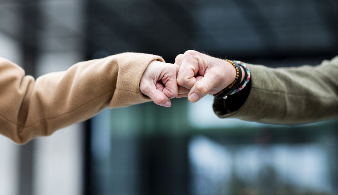 Imagen de referencia