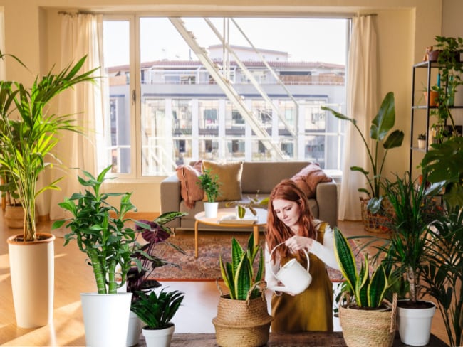 Imagen de referencia a mujer regando las plantas/ Getty Images