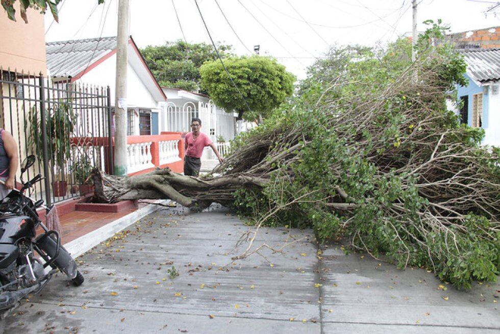 Imagen de referencia. / Foto: Archivo. 