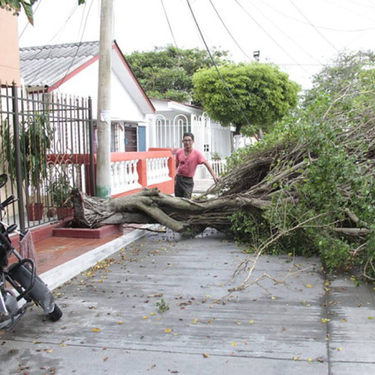 Recomendaciones para evitar emergencias por los fuertes vientos que se presentan en Cúcuta