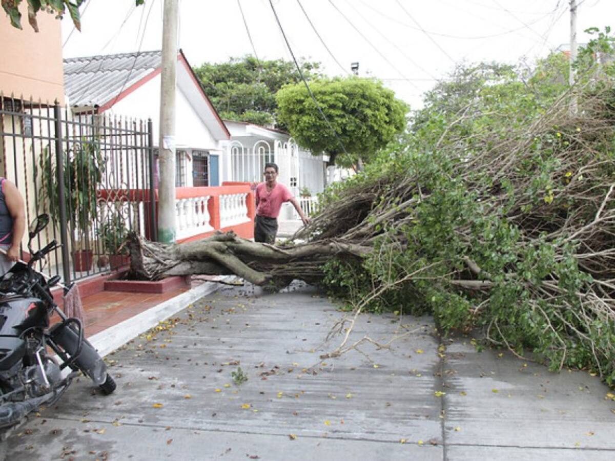 Recomendaciones para evitar emergencias por los fuertes vientos que se presentan en Cúcuta