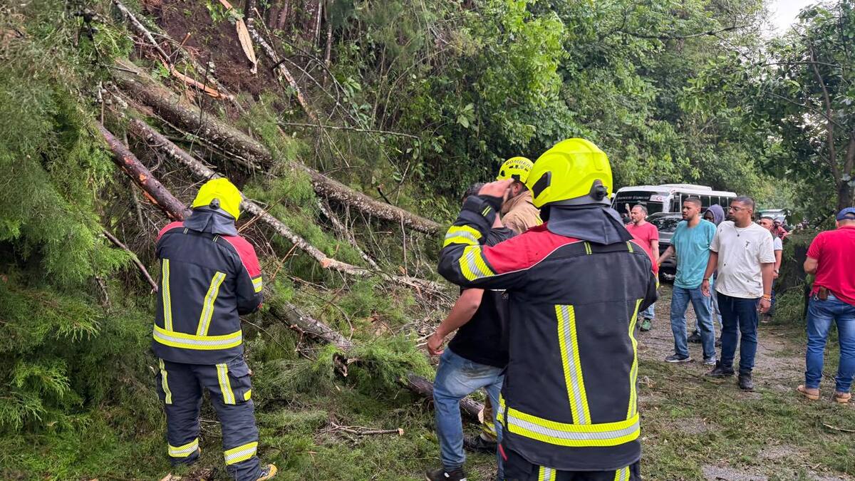 David Echeverry , gestión riesgo Salento