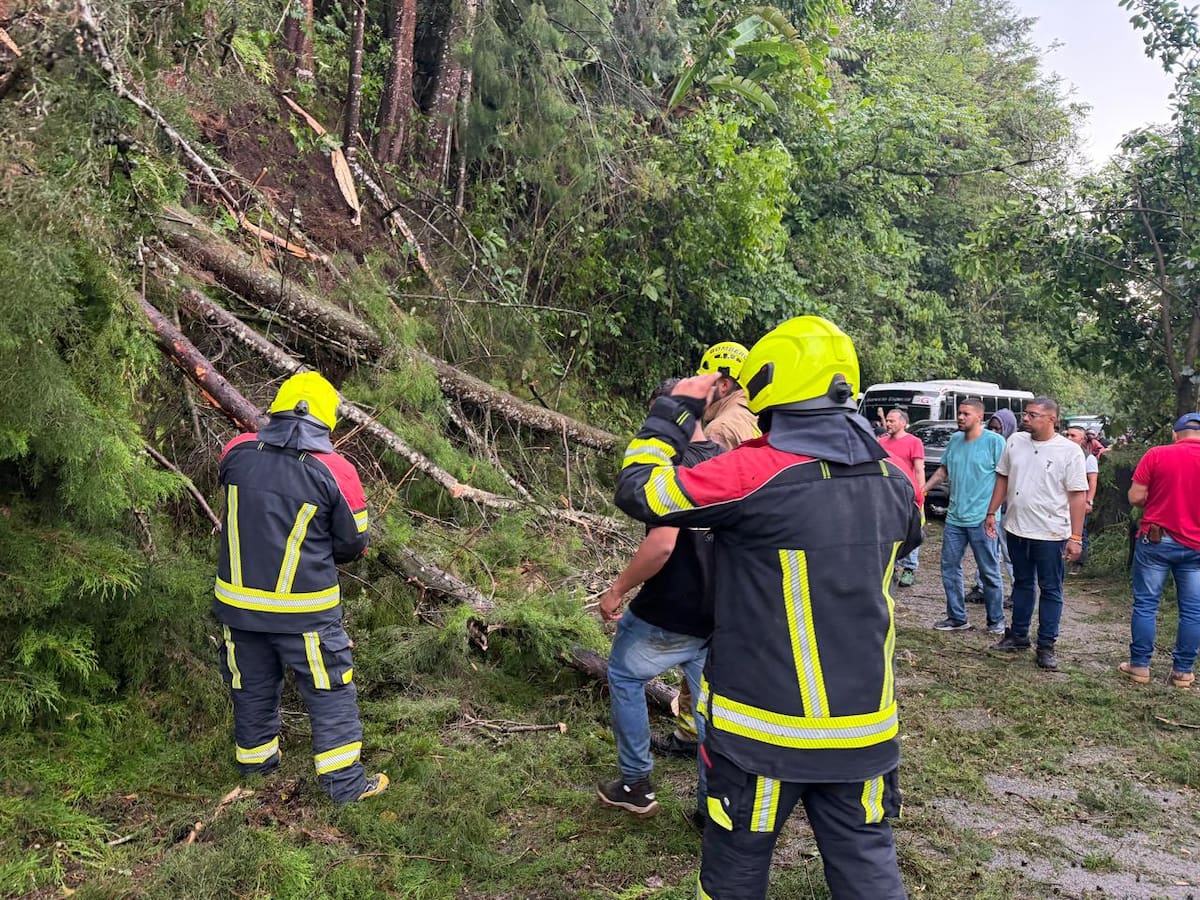 Vendaval provoca varias emergencias en zona urbana y rural del municipio de Salento en el Quindío