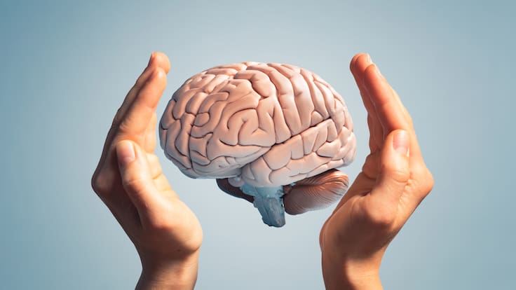 ¿Más grande o más pequeño? Así será el cerebro humano en 5000 años según la IA (Getty Images)
