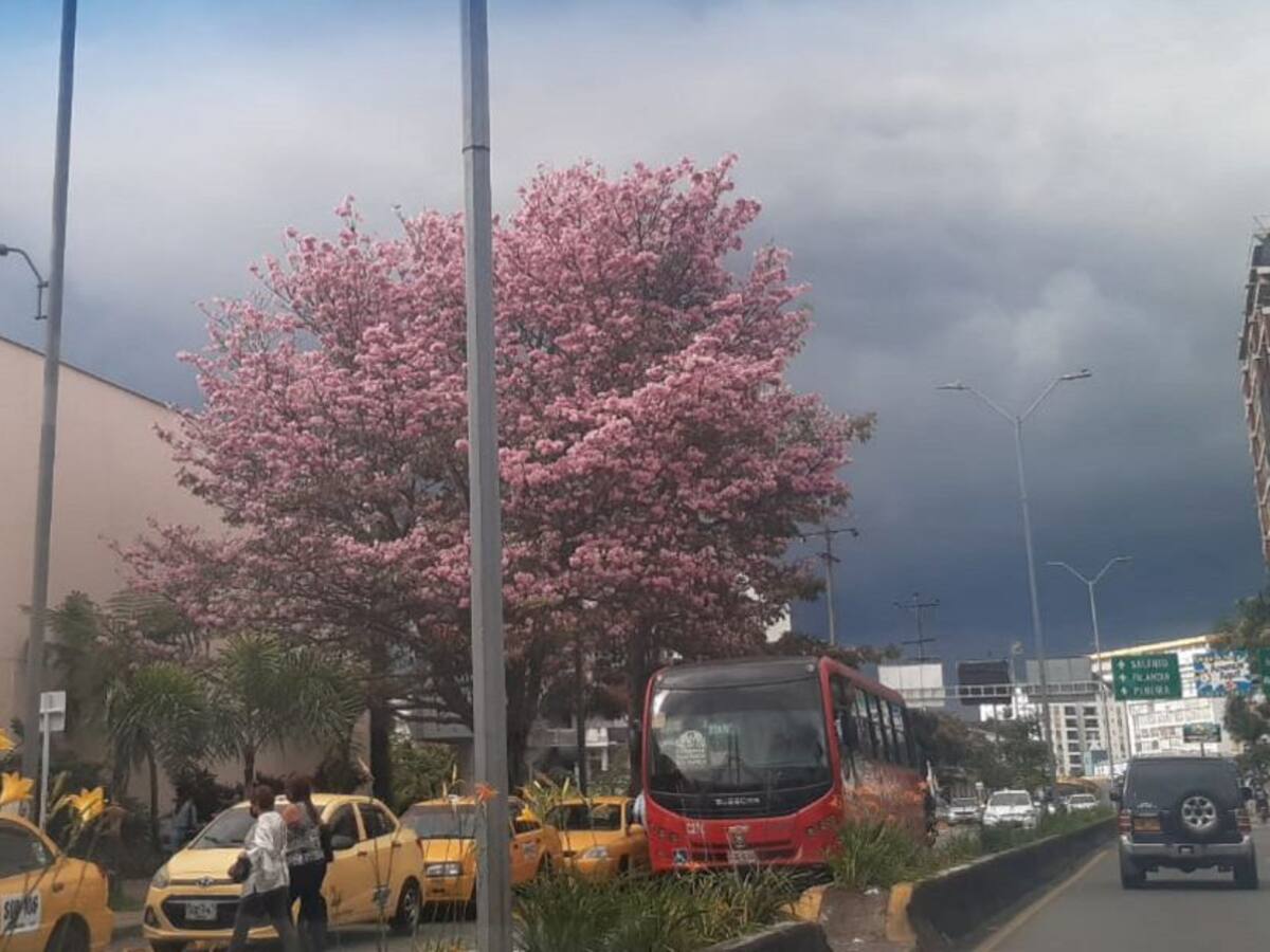 Miércoles 18 de agosto, las noticias más importantes de Armenia y Quindío