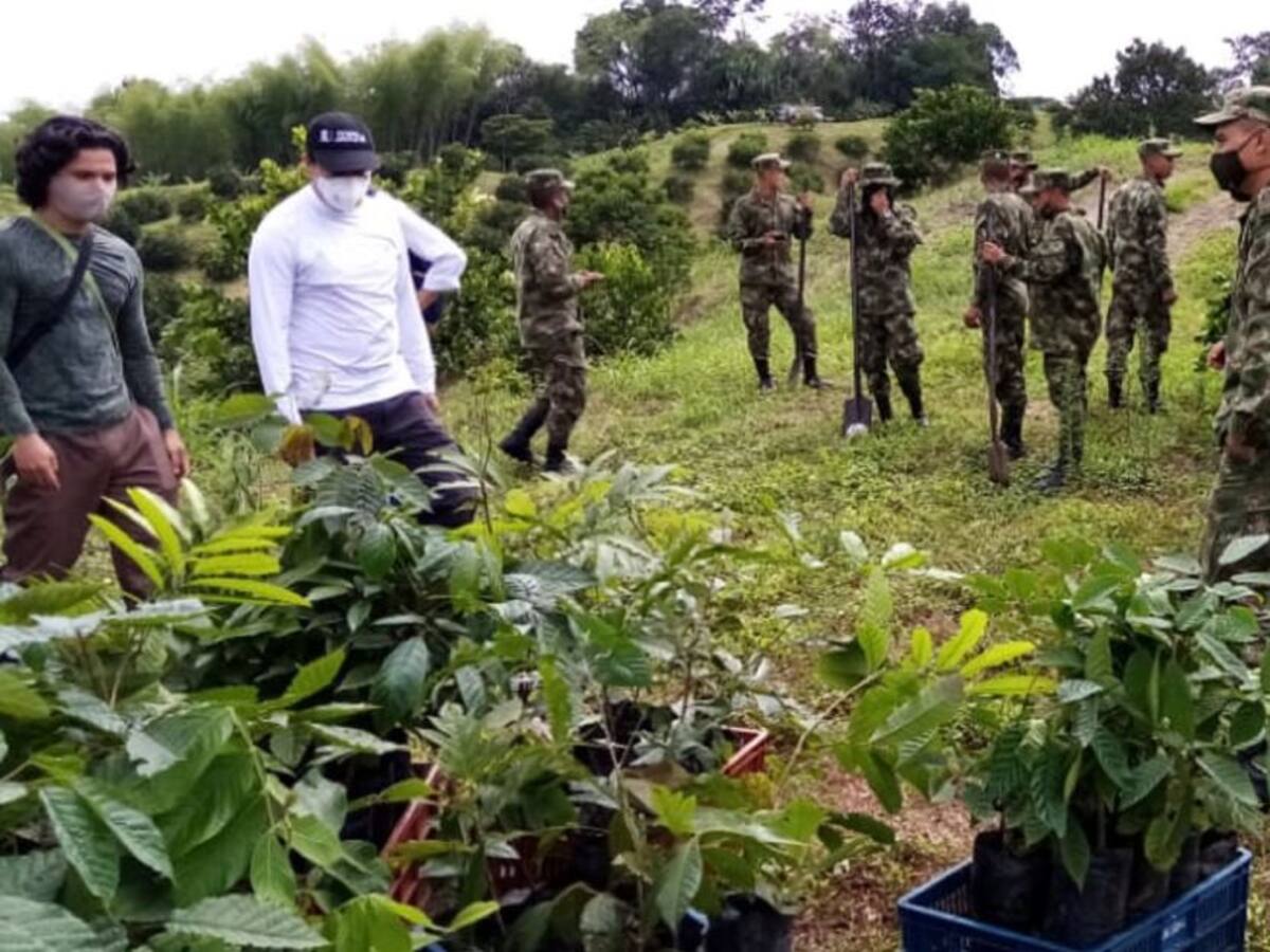 Poblaciones seguras ante riesgos naturales,programa del ejército en Quindío