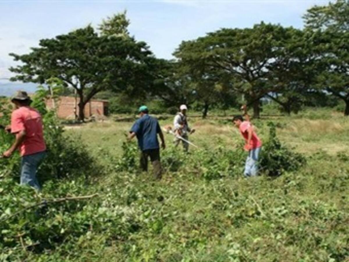 Resumen 11:00 am: Continúa la restitución de tierras en siete departamentos del país