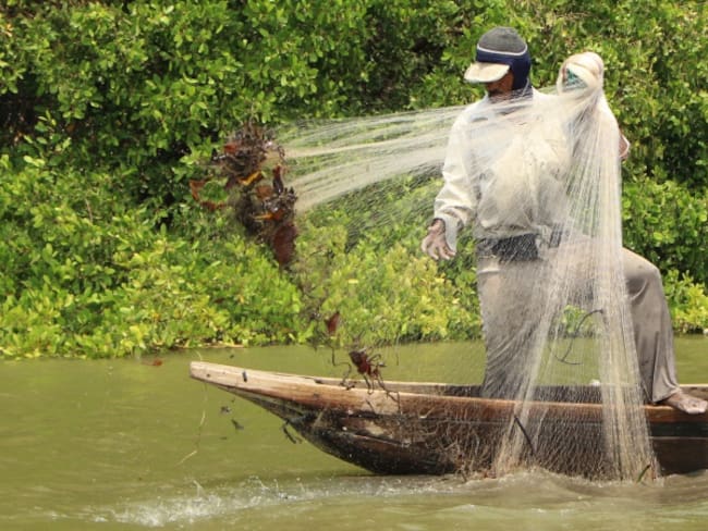 Pescadores desempleados por el Fenómeno de El Niño