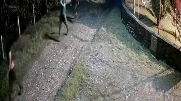 Informe caso en zona rural de Montenegro