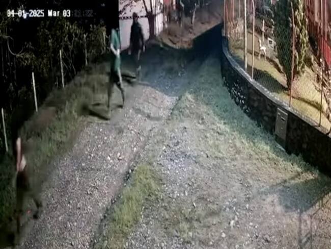 Informe caso en zona rural de Montenegro