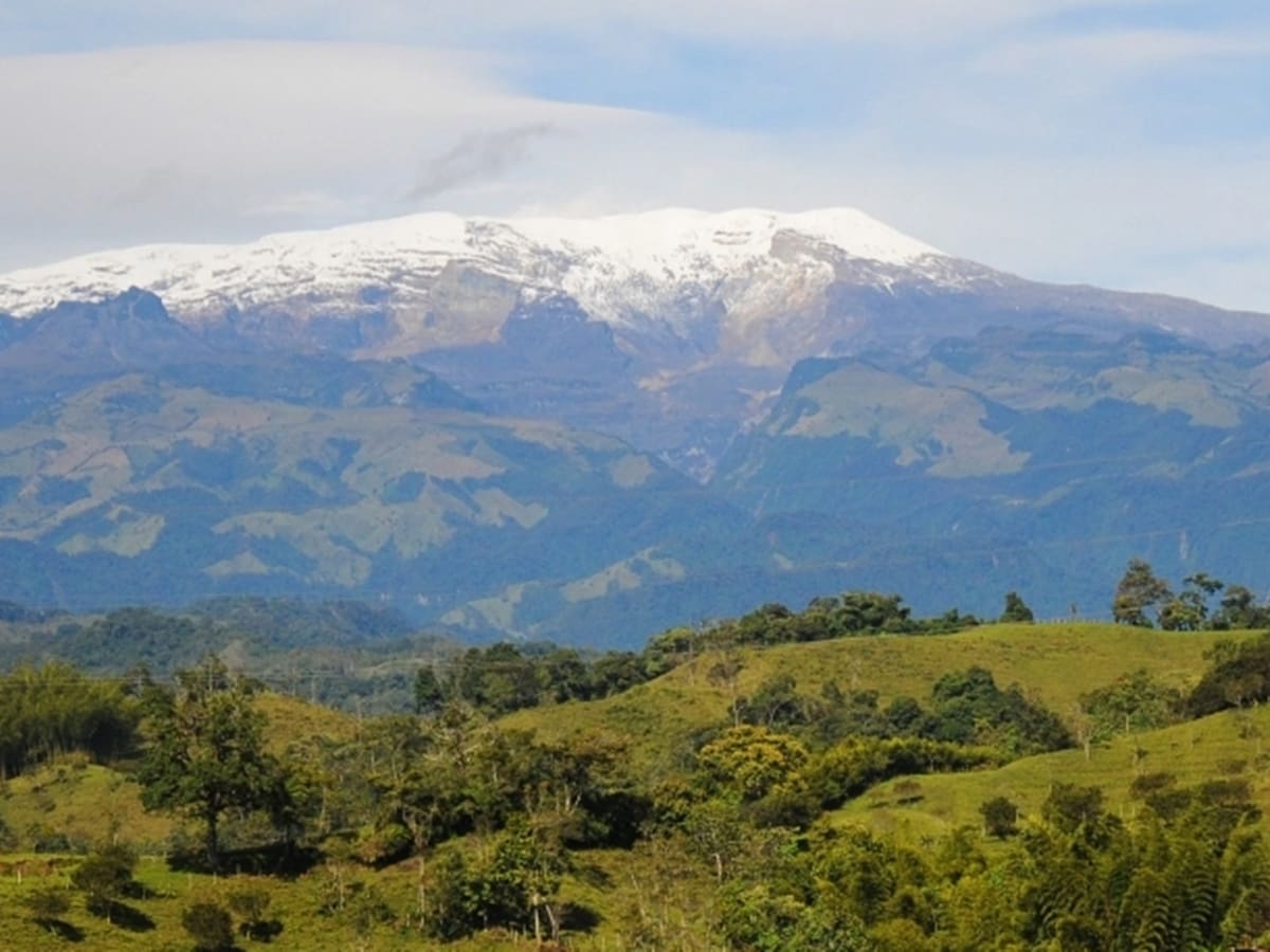 “Es muy difícil que la gente salga voluntariamente”: alcaldesa de Casabianca, Tolima