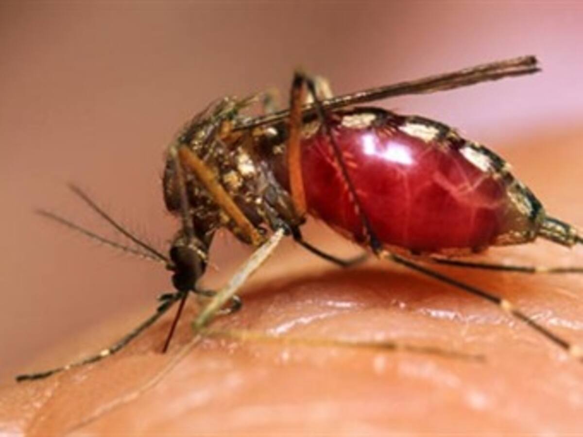 Muere niña por dengue en Santa Marta