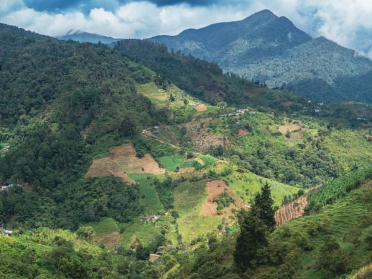 Hasta 50% de descuento en impuesto predial para campesinos de Floridablanca