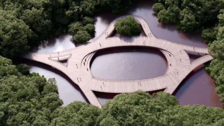 La Ciénaga de Mallorquín un ecosistema estratégico para Barranquilla