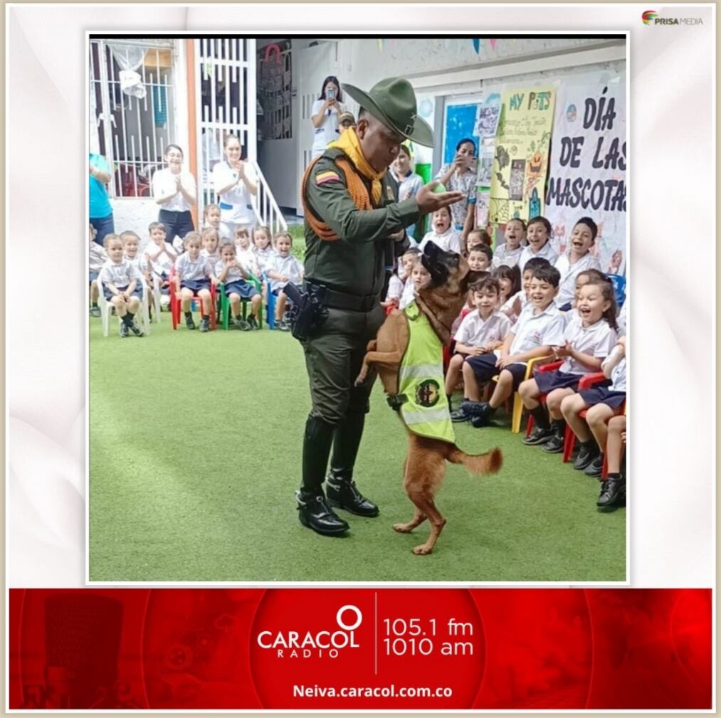 Se realiza acercamiento con los docentes, haciendo énfasis en la comunicación constante con los niños, niñas y adolescentes para prevenir oportunamente situaciones que puedan vulnerar su integridad.