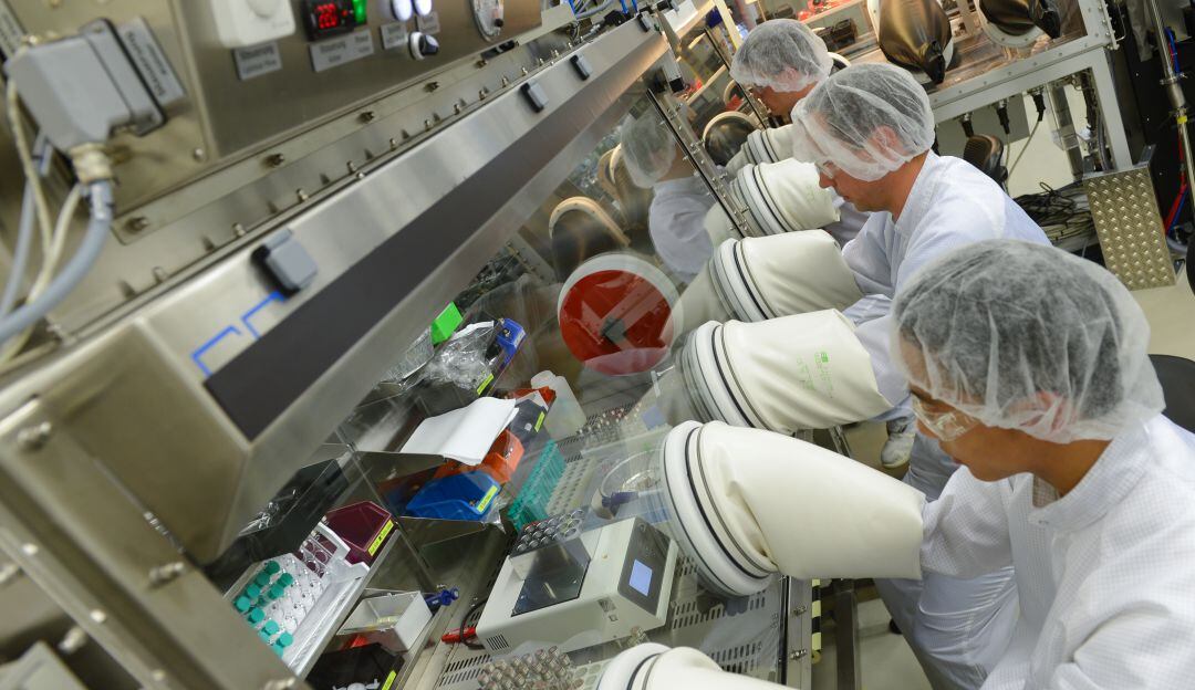 Producción en una de las plantas de Merck