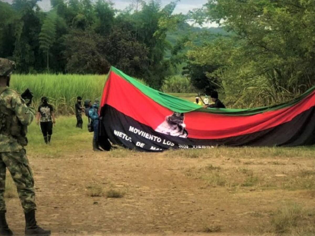 Las cifras de las afectaciones por ocupaciones de tierras en el Cauca
