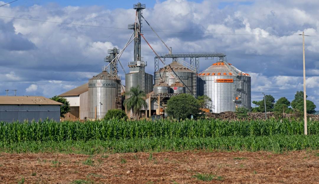 Producción de soja en Paraguay.               Foto: Getty 