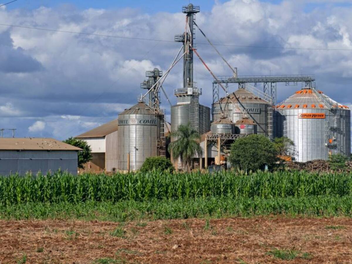 Paraguay se convirtió en un estado brasileño rico: MinEconomía de Brasil