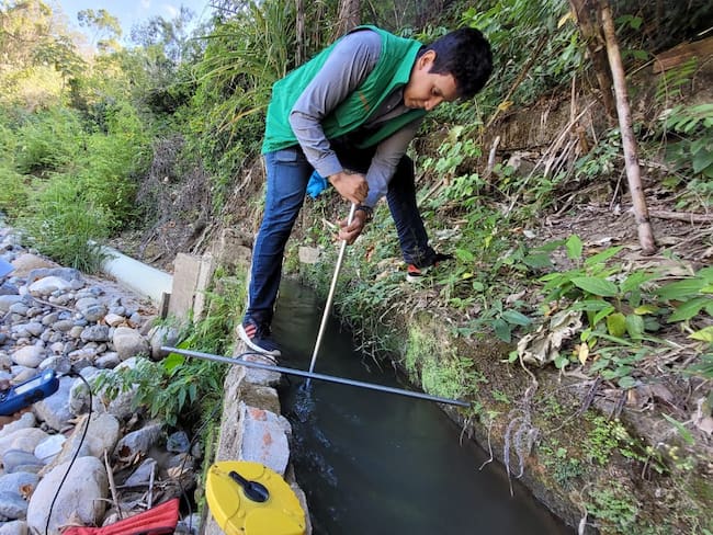 El aprovechamiento forestal lideró las solicitudes de trámites ambientales ante la CAM durante el 2025 en el Huila.
