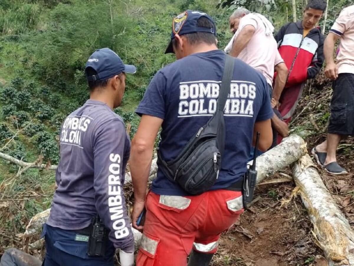 Un hombre perdió la vida tras la caída de un árbol en Palocabildo, Tolima
