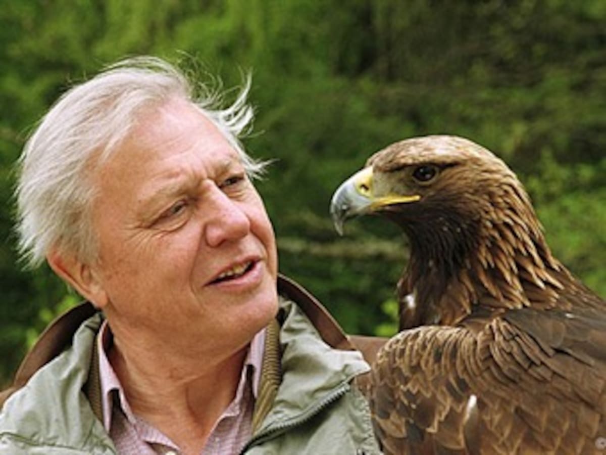 El naturalista Attenborough gana el Príncipe de Asturias por una vida dedicada a la naturaleza
