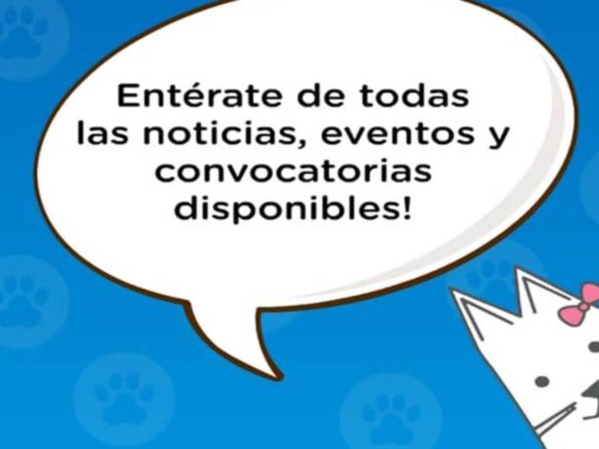'Distrito Appnimal’ aplicación para adopción y reporte de mascotas perdidas