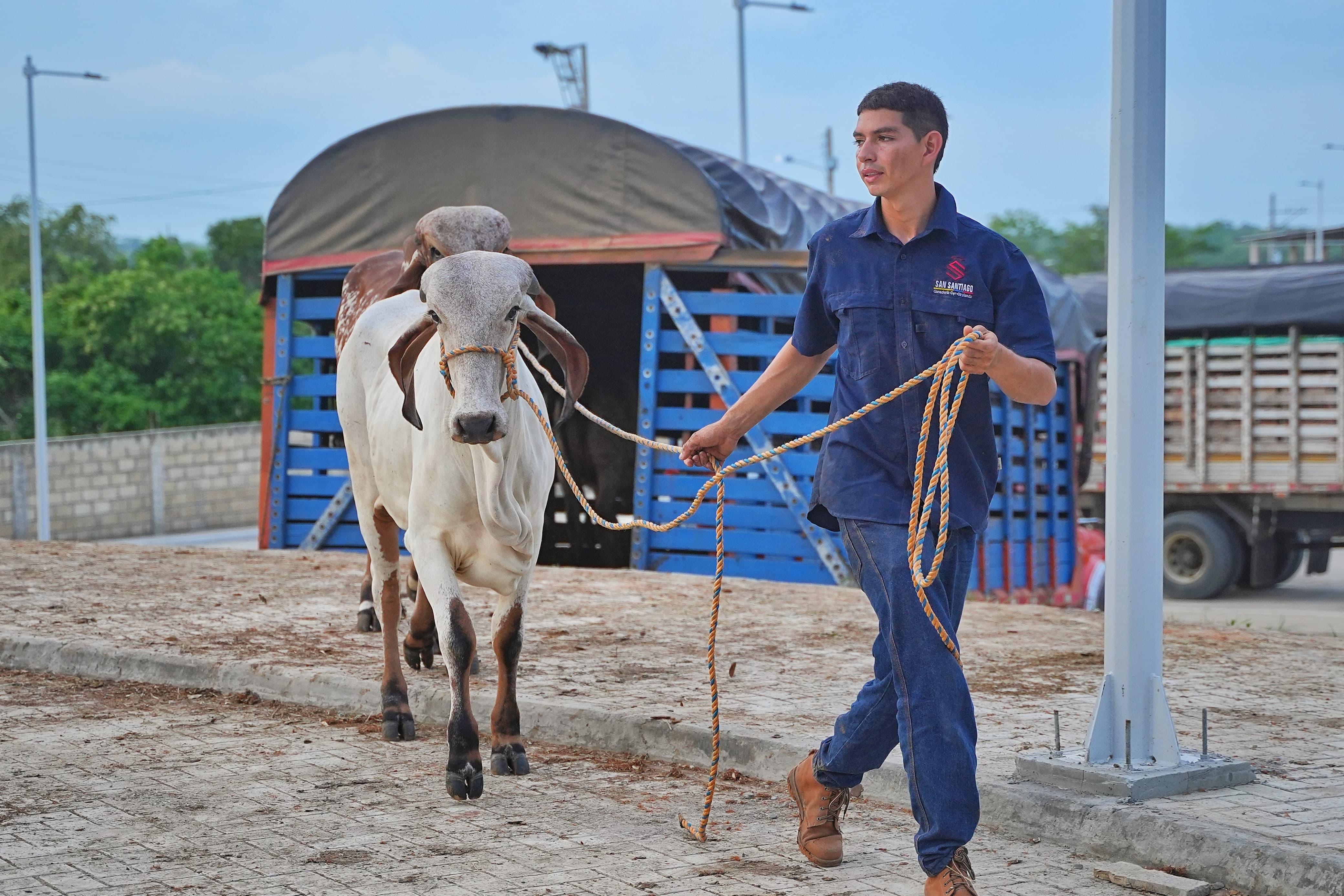 Gobernación de Bolívar