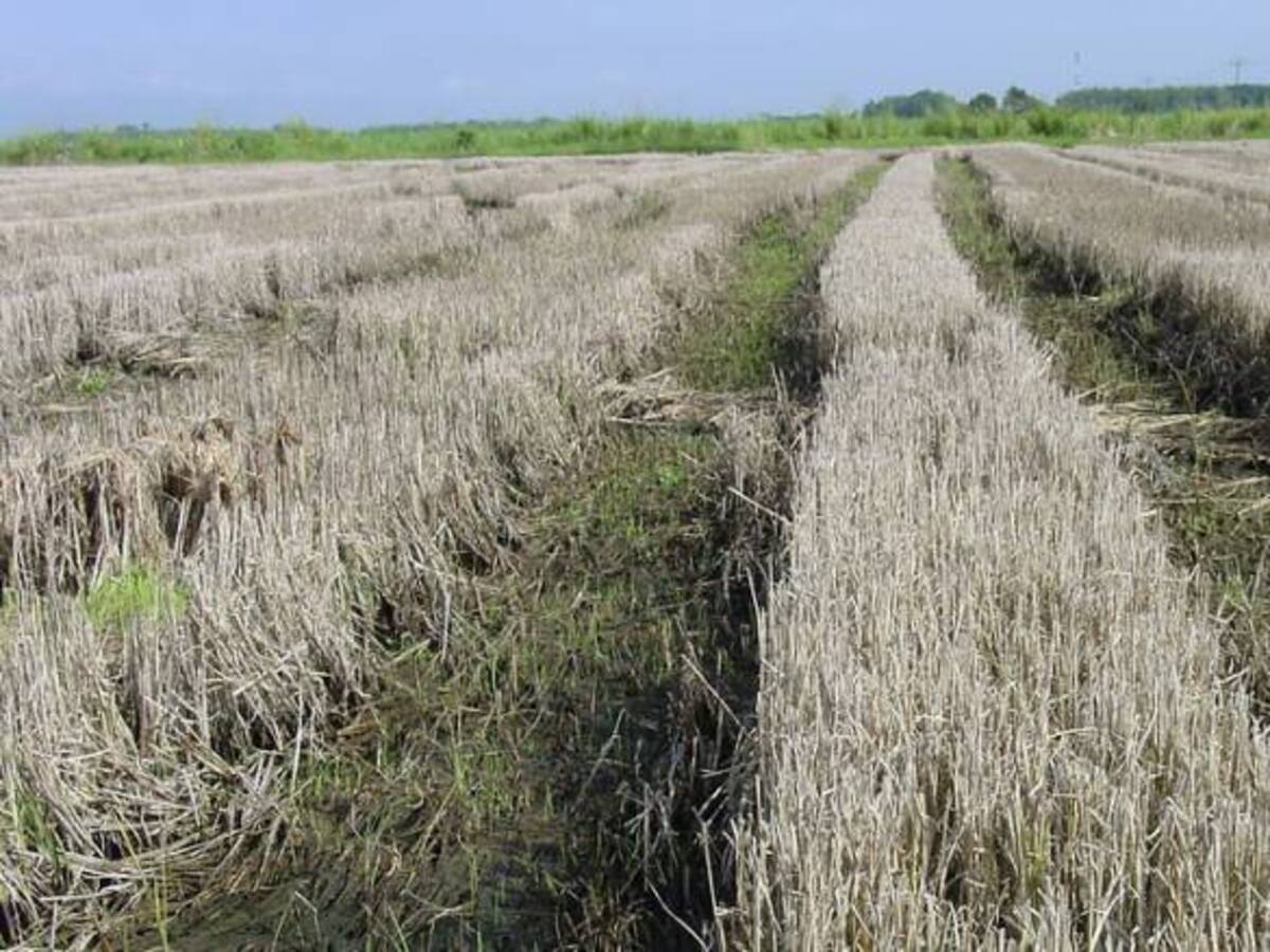 Distrito de riego de Usocoello declaró la emergencia hídrica
