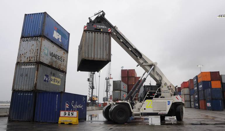 Exportación de Aguacate