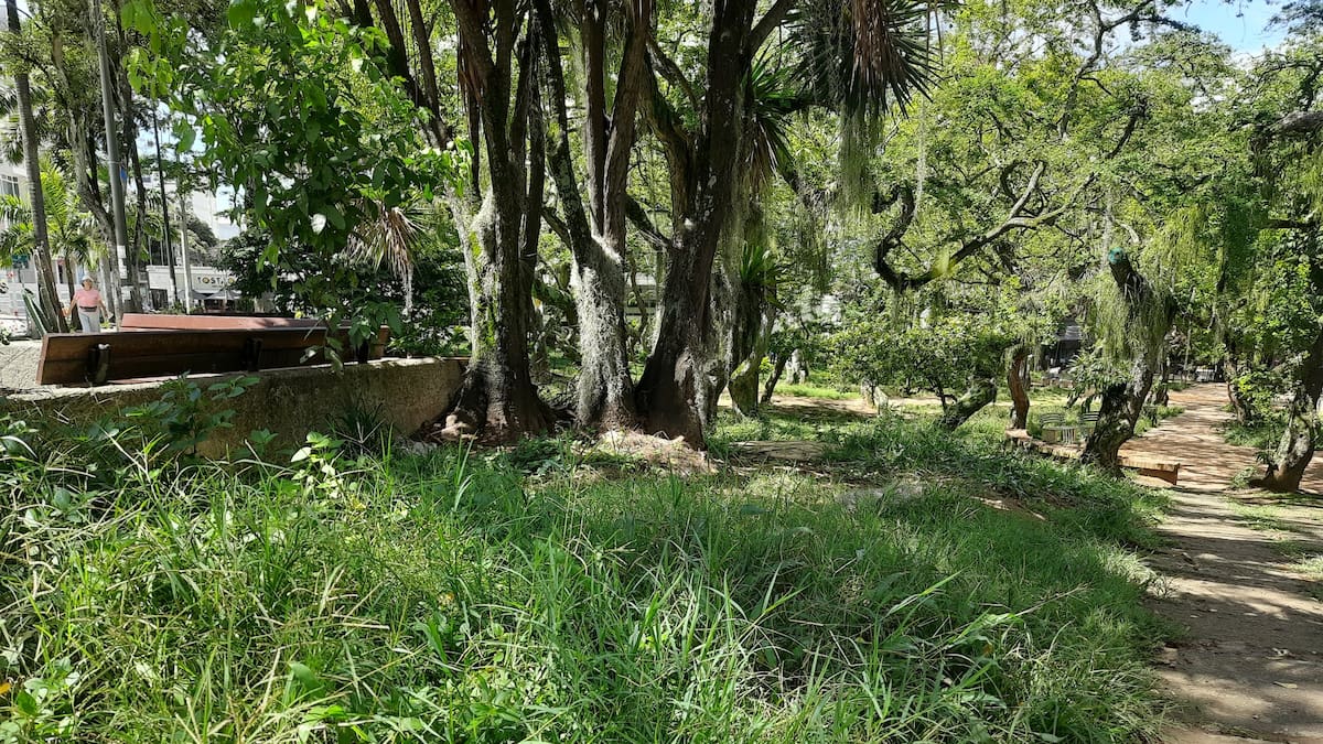 Deimer Mauricio Mosquera, gerente de ciudad de la Alcaldía de Bucaramanga