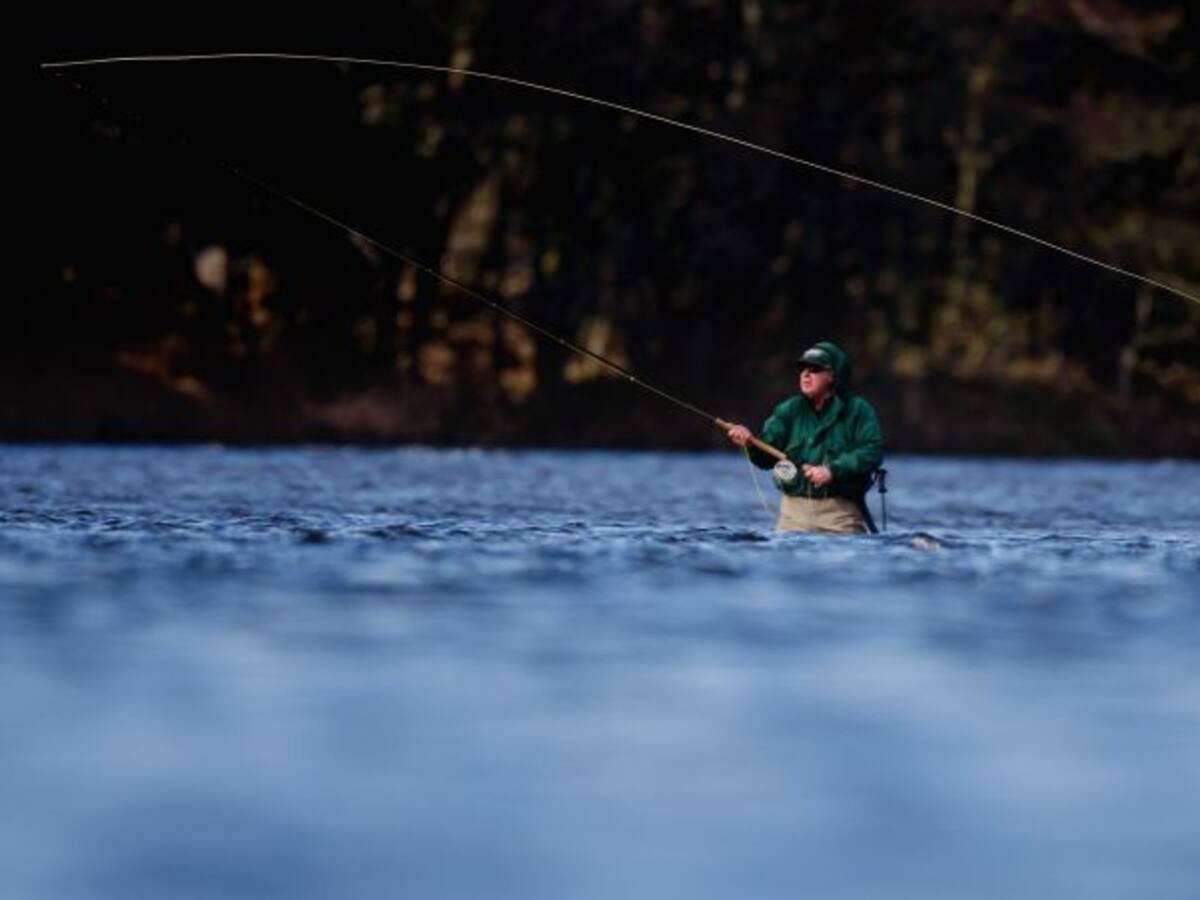 ¿Cuál es el origen de las expresiones: ‘pescar en río revuelto’ y ‘cacería de brujas’’?