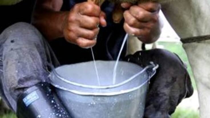 Aplazan decreto que prohibía venta de leche cruda en el país