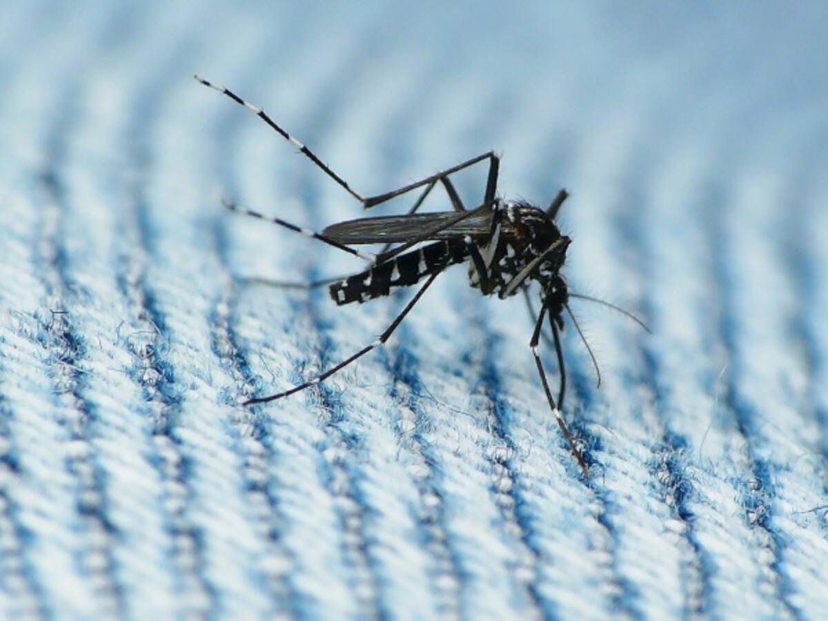 Investigan posible caso de microcefalia por zika en Cundinamarca