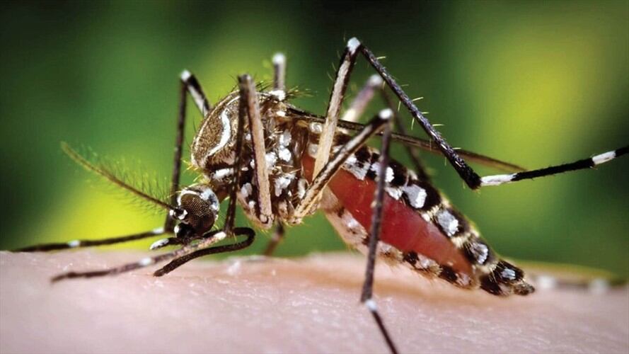 Imagen de referencia. Foto: Colprensa