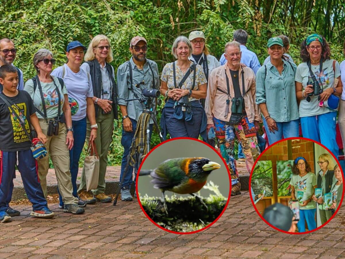 Palmira, en el Valle, la primera ‘Ciudad de las Aves’ en Colombia