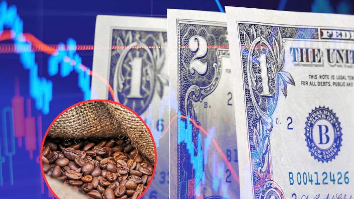 Precio del Café hoy, 27 de junio, en Colombia: ¿a cómo está la carga en dólares?