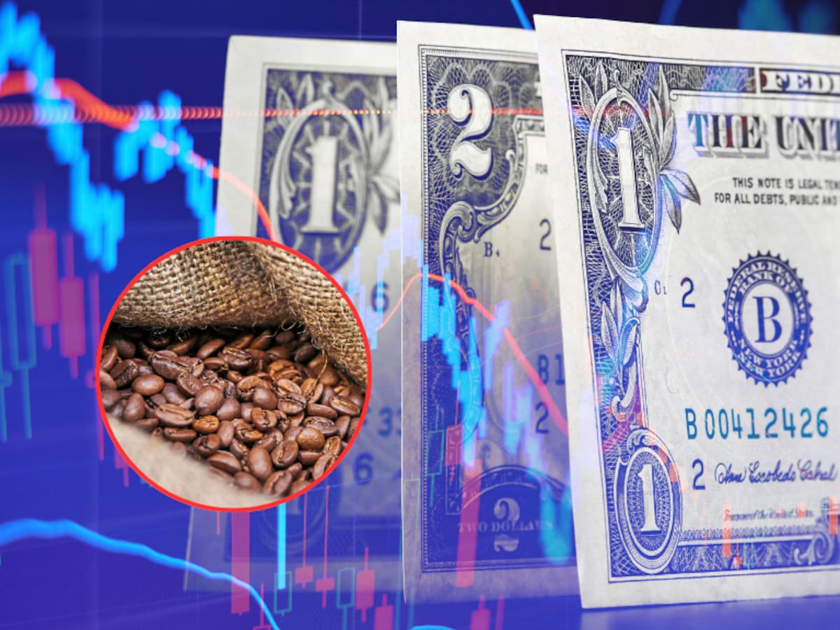 ¡Vuelve a bajar! Precio del CAFÉ HOY 18 de julio en Colombia: valor de la carga, según FNC