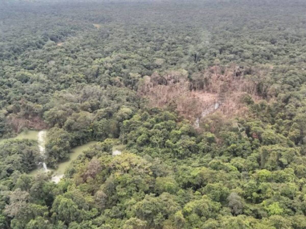 "Las disidencias de las Farc son las que han dominado el territorio"